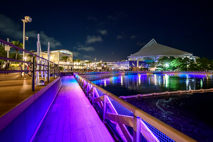 横滨八景岛海岛乐园：2